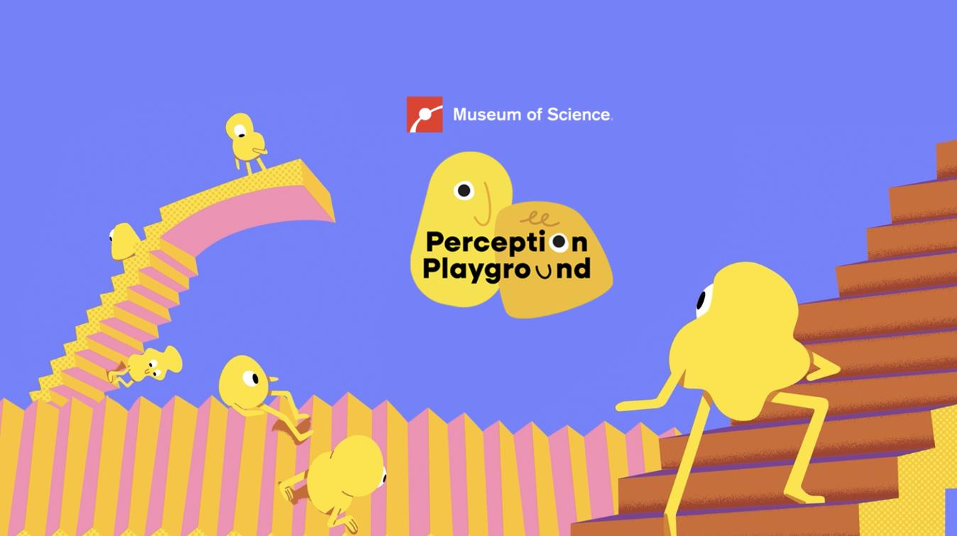 Museum of Science - Perception Playground